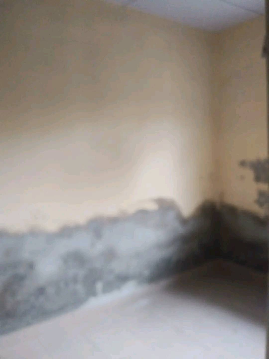 Maison A louer