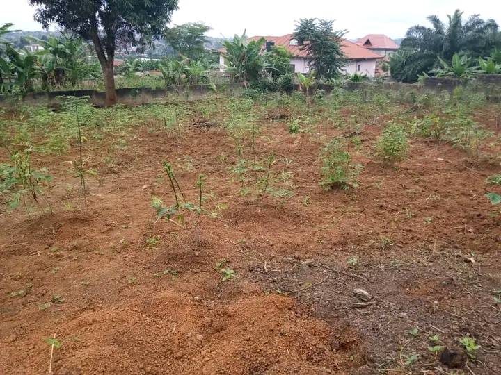 terrain a vendre
