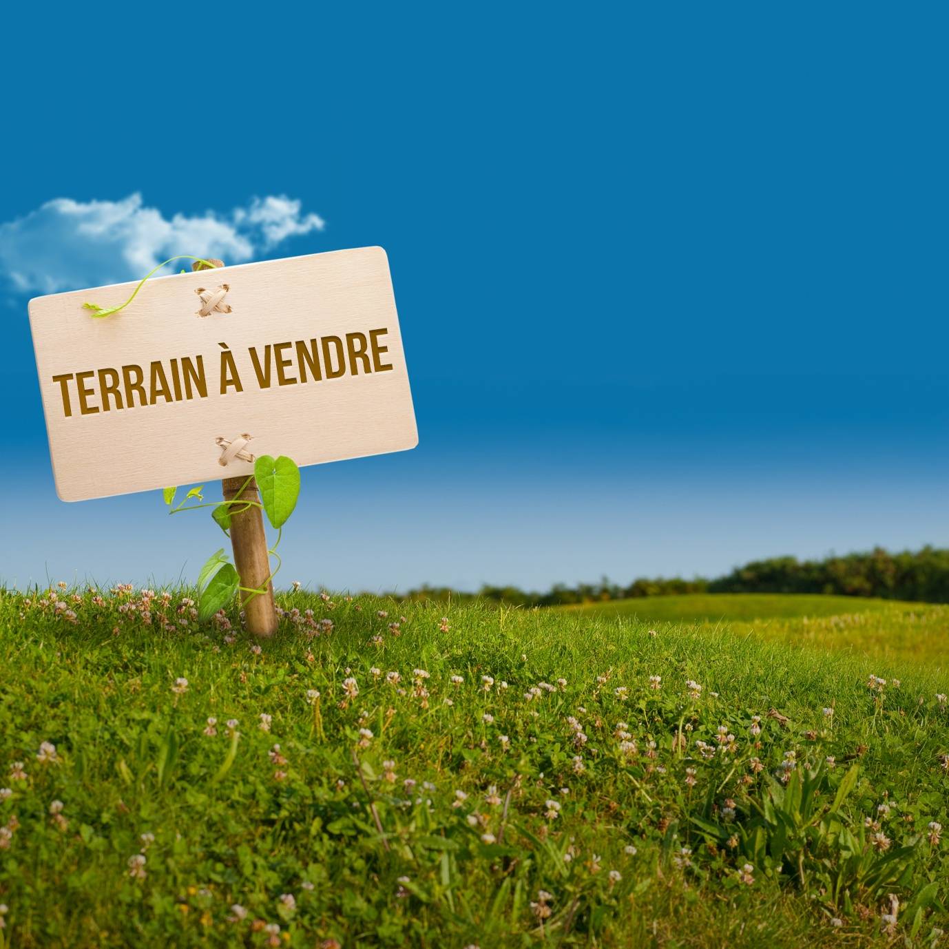 Terrain en vente à Jacqueville